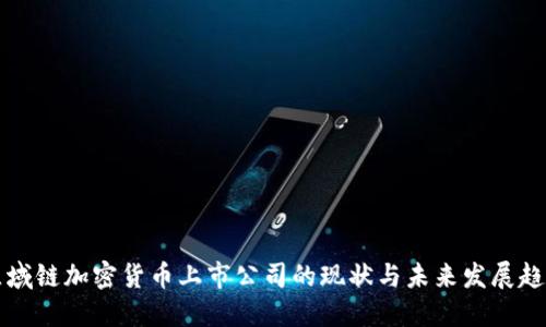 区域链加密货币上市公司的现状与未来发展趋势