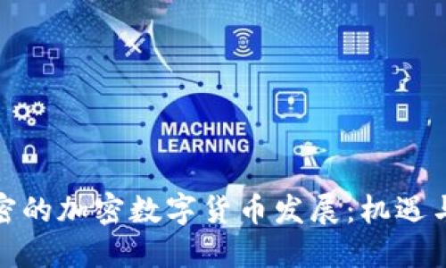 迈阿密的加密数字货币发展：机遇与挑战