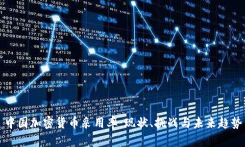 中国加密货币采用率：现状、挑战与未来趋势