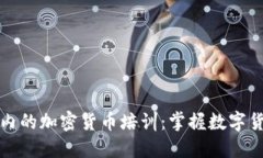 全球范围内的加密货币培